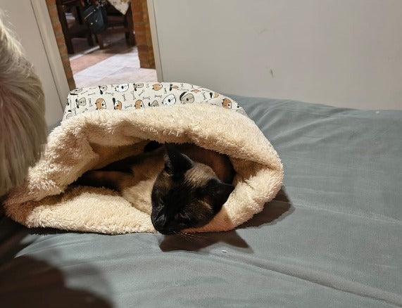Penny